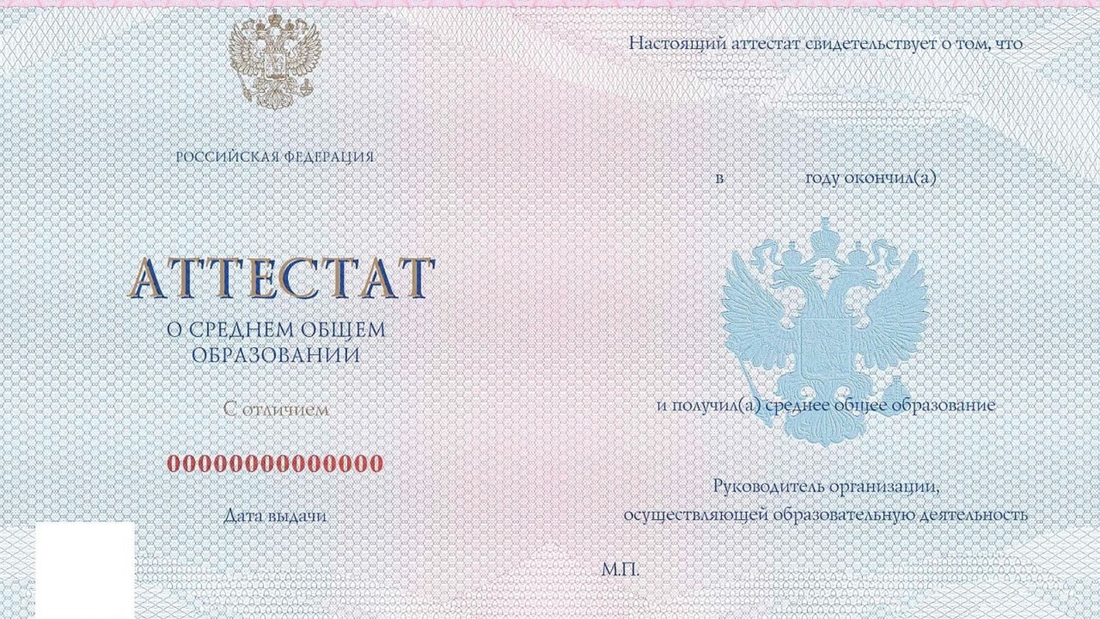 Номер документа в аттестате. Форма заполнения аттестата. Номер аттестата о среднем общем образовании. Номер аттестата о среднем общем образовании. Регистрационный номер документа об образовании.